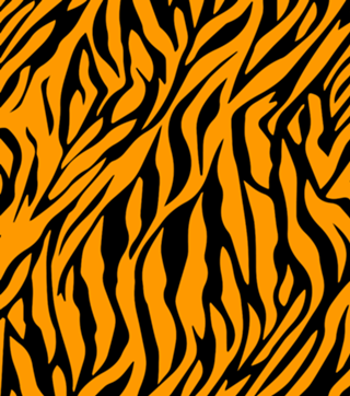 Tiger Skin