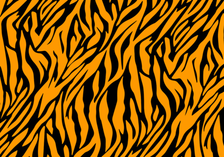 Tiger Skin