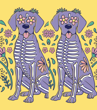 Perro esqueleto y las flores