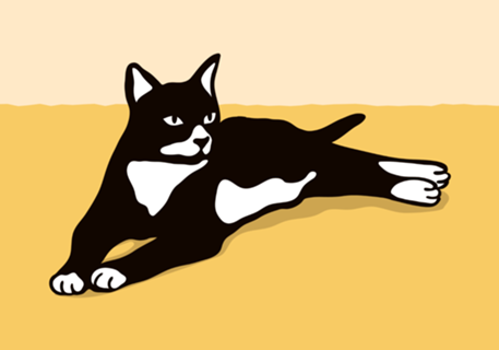 Cat Muzzle