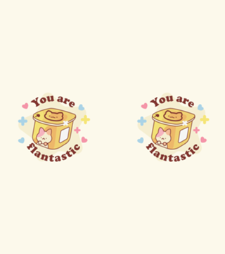 You are flantastic