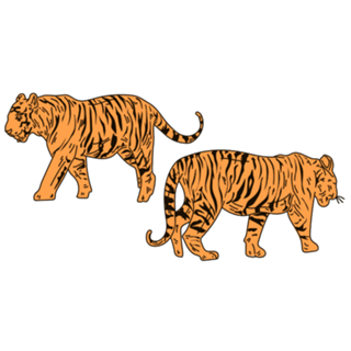 Twin Tigers