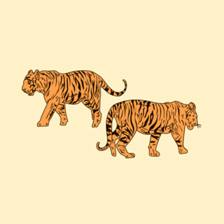 Twin Tigers