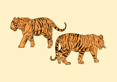 Twin Tigers