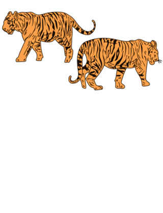 Twin Tigers
