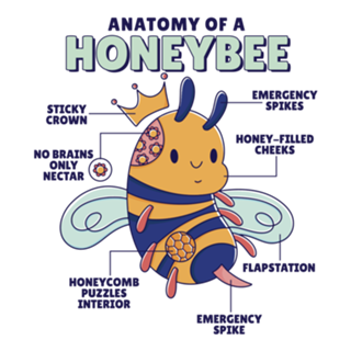 Anatomy of a honeybee