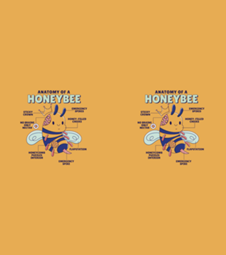 Anatomy of a honeybee