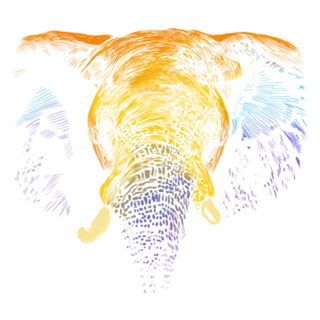 Colorful Elephant