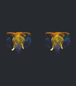Colorful Elephant