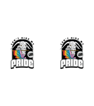 Can't Hide My Pride