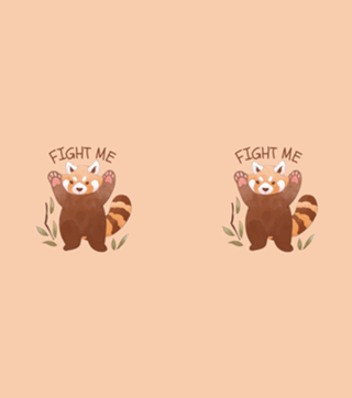 Fight Me