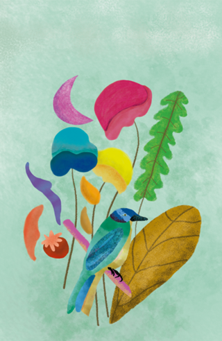 Pássaro Tropical