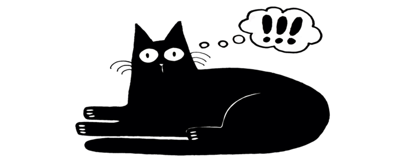 Gato preto
