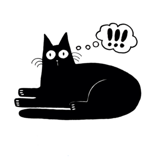 Gato preto