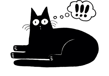Gato preto