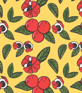 Guarana Vigiante Yellow