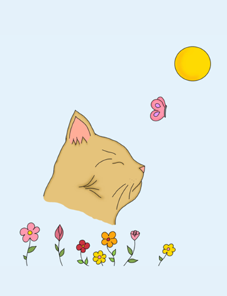 Gato e flores