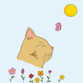 Gato e flores