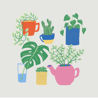Coleção de plantas