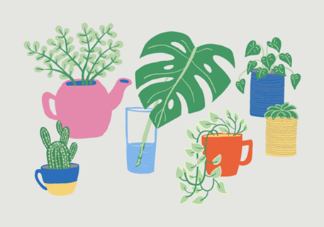 Coleção de plantas