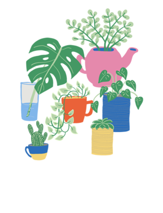 Coleção de plantas