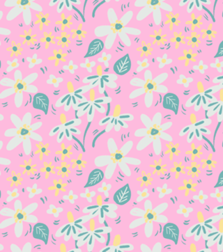 Jardim das Margaridas - Cor de Rosa