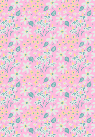 Jardim das Margaridas - Cor de Rosa