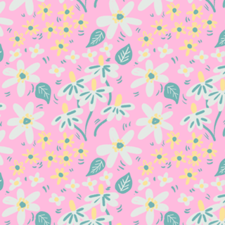 Jardim das Margaridas - Cor de Rosa