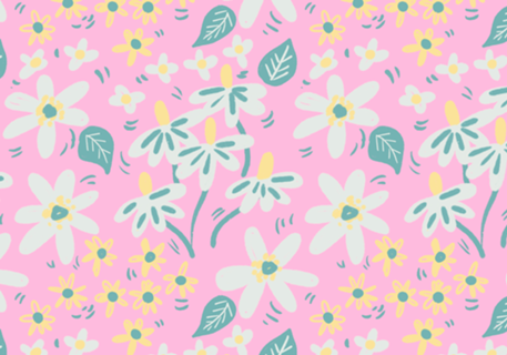 Jardim das Margaridas - Cor de Rosa