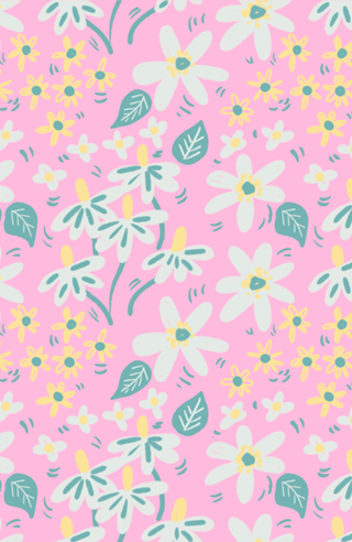 Jardim das Margaridas - Cor de Rosa