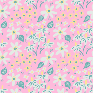 Jardim das Margaridas - Cor de Rosa