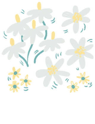 Jardim das Margaridas - Verde