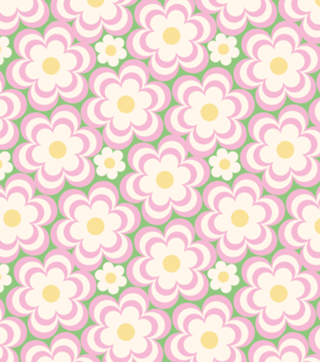 Daisy Burst