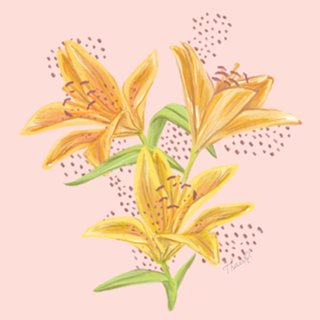 Floral Lírio Amarelo