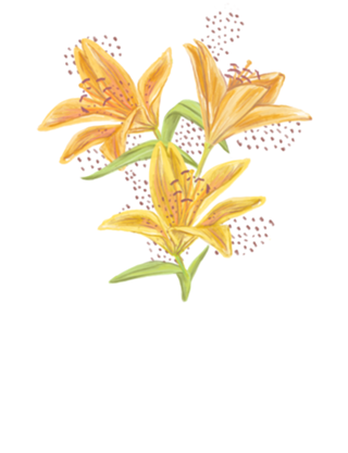 Floral Lírio Amarelo