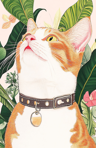 Gato Selvagem e Elegante