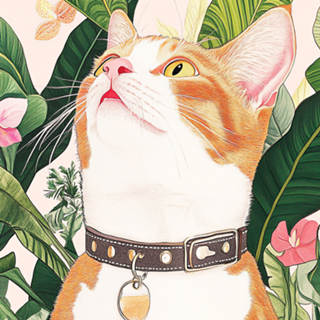 Gato Selvagem e Elegante