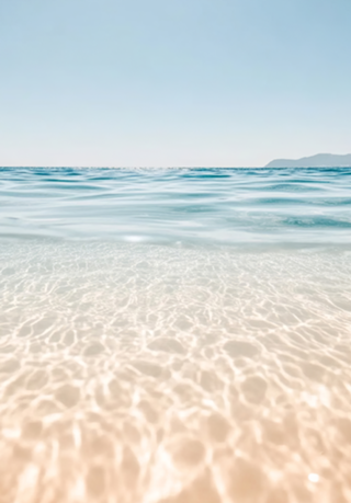 Paraíso Transparente