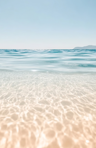 Paraíso Transparente