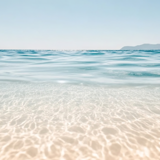 Paraíso Transparente