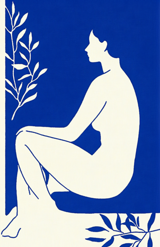 Contornos da Mulher