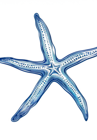 Estrela do Oceano