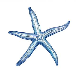 Estrela do Oceano