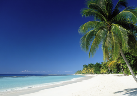 Paraíso Tropical