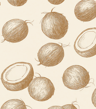 Cocos Tropicais