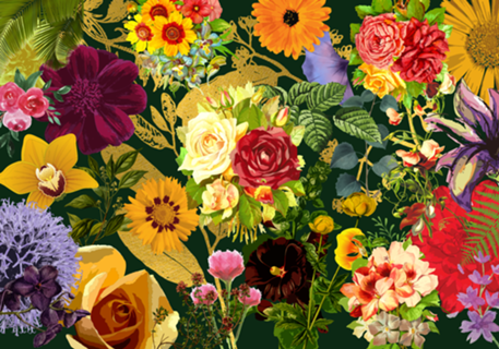 FLORA