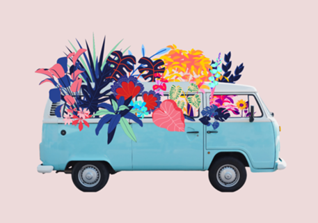 KOMBI PRIMAVERA