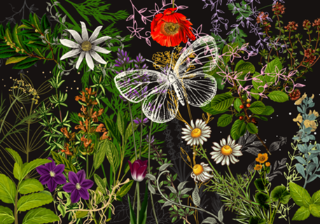 AROMAS