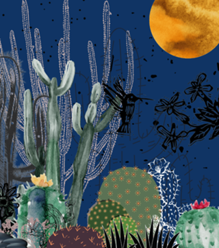 CACTOS