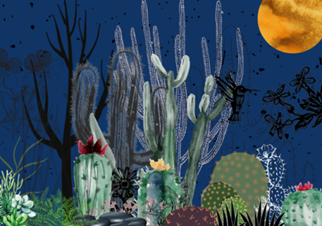 CACTOS